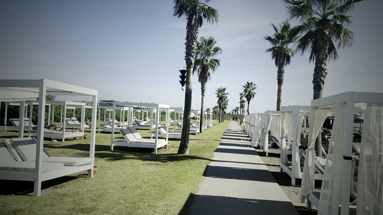 Reihe weißer Strandbetten unter Palmen und Schilfdächern am Beach Club